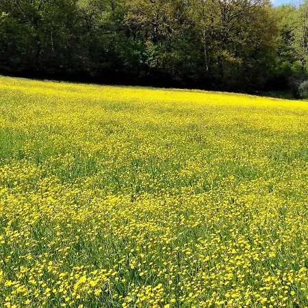 Farm stay La Fontaiola Le Piazze