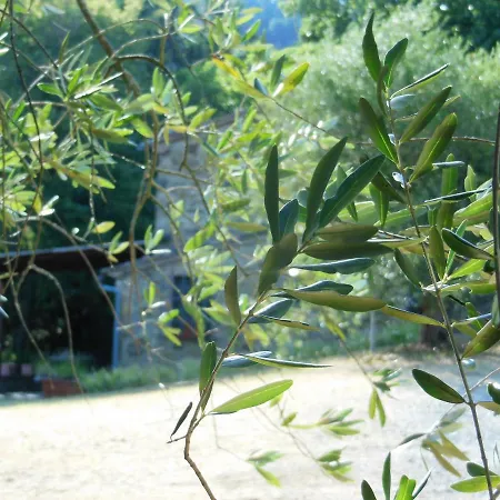 La Fontaiola Farm stay