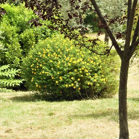Farm stay La Fontaiola *