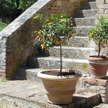 La Fontaiola * Le Piazze