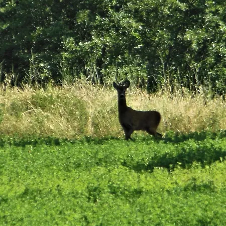La Fontaiola Farm stay *