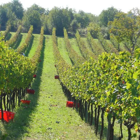 La Fontaiola Le Piazze