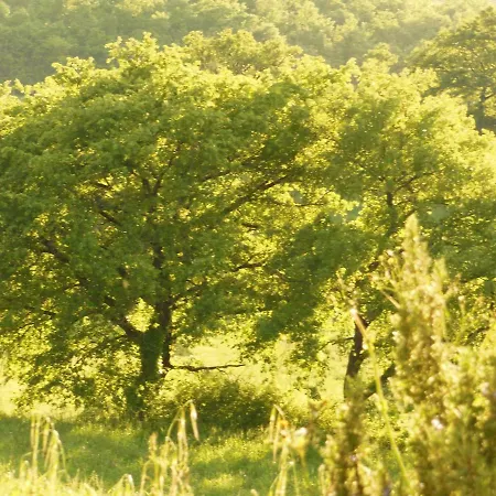 La Fontaiola Farm stay *