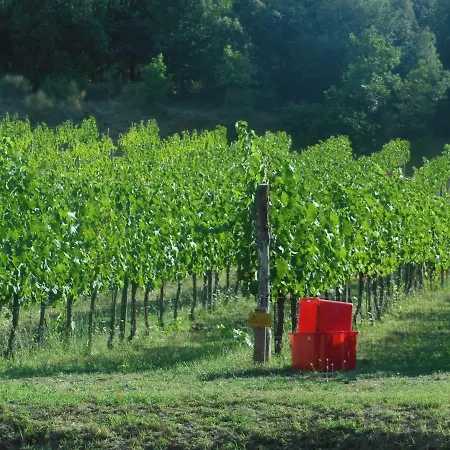 La Fontaiola * Le Piazze