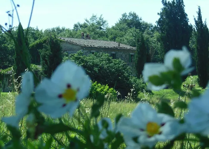 La Fontaiola Feriegård *